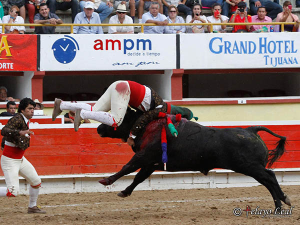 Entrega total de los forcados