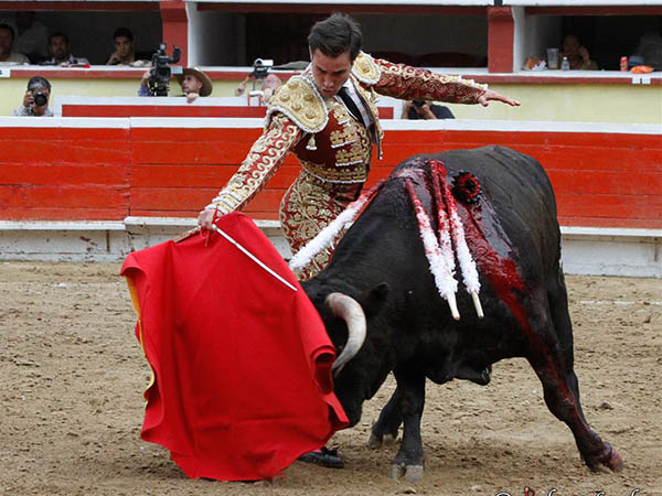 Ejemplar con poca fuerza