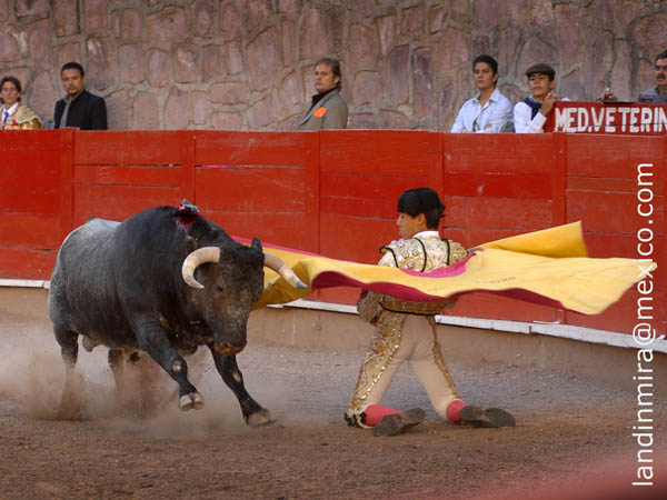 Larga de Antonio Romero