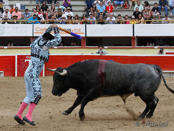 Adornando el morrillo