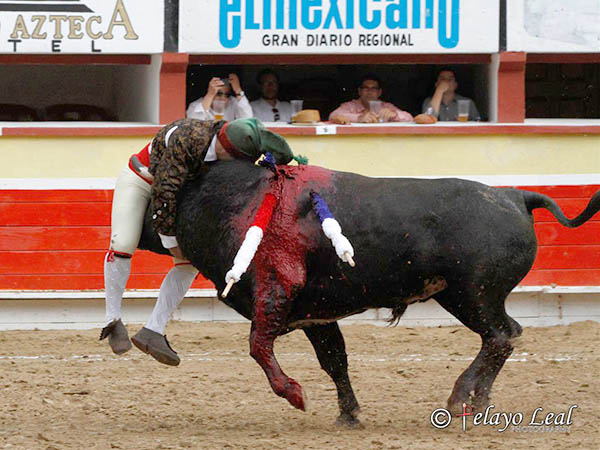 Espectaculares mazatlecos