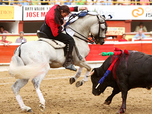 El valor de caballista y jaca