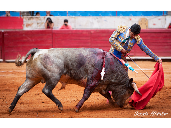 Sergio Garza, detalles de calidad