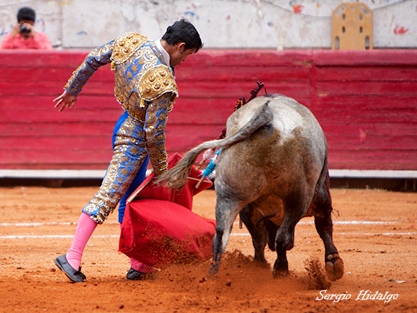 Extraordinario Novillo