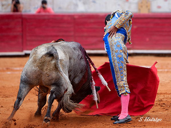 Espectacular embestida