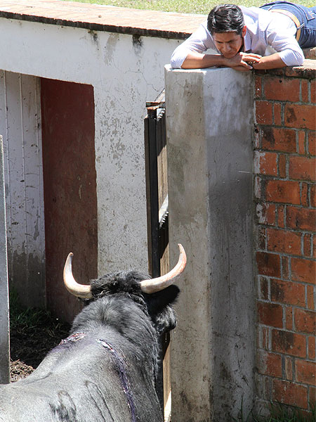 Mir�ndose fijamente