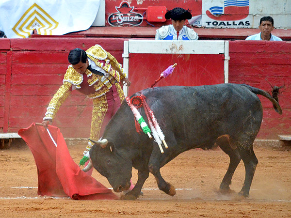 Le sac� el fondo bueno
