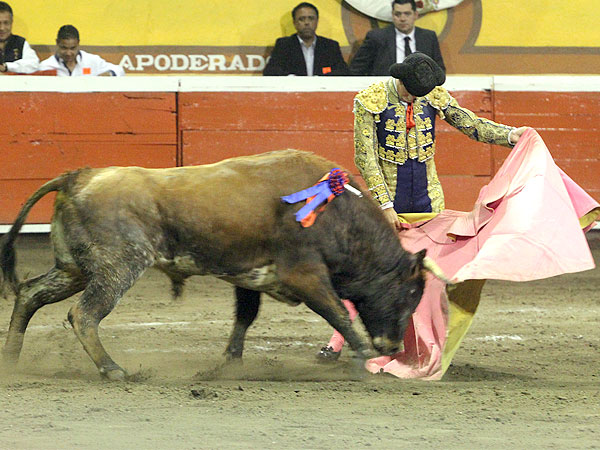 Zavala con el quinto