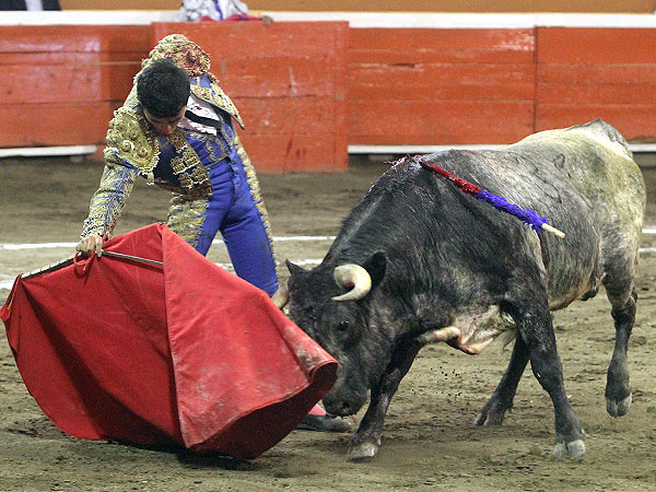 Logr� buenos muletazos