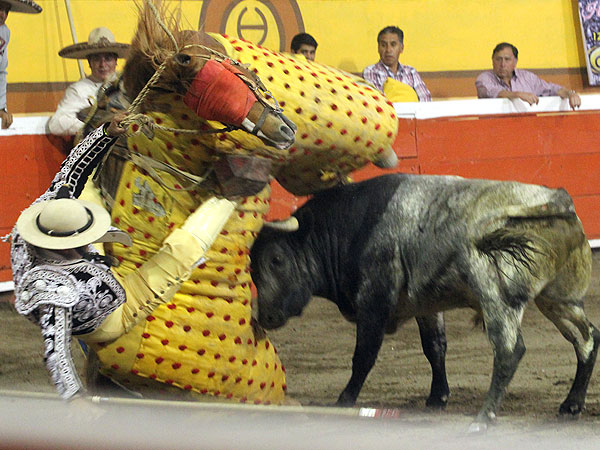 Empujaron fuerte en los caballos