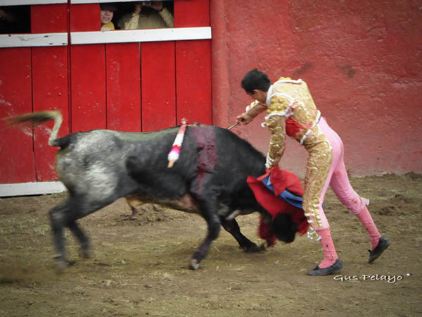 Estocada quevali� la oreja