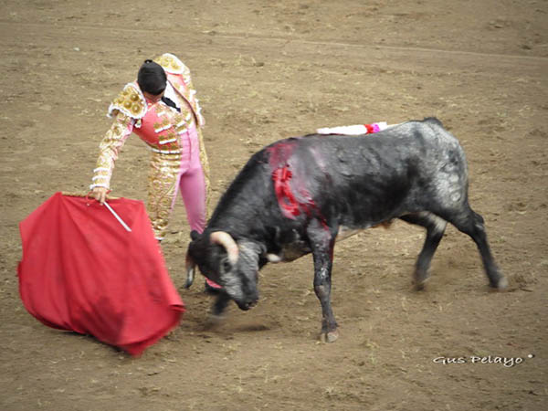 Faena de mucha entrega