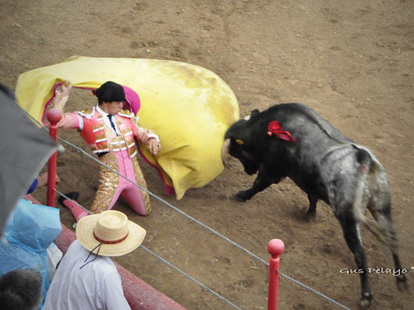 Saludo de Carlos Casanueva