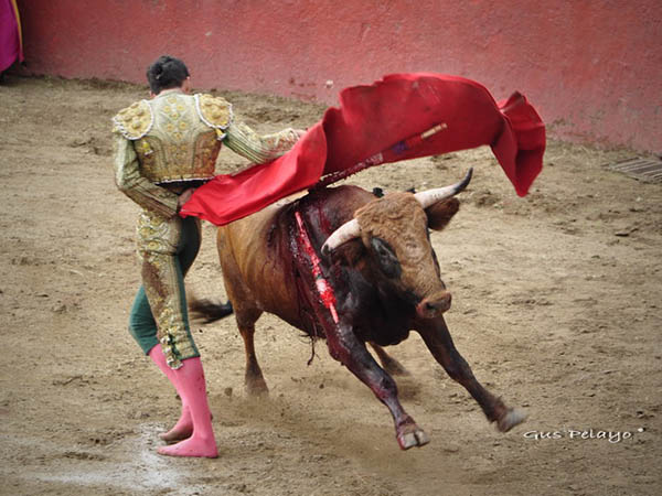 Le pidi� el carnet al chaval