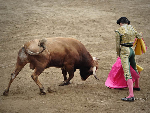 El capote de Arturo de Alba