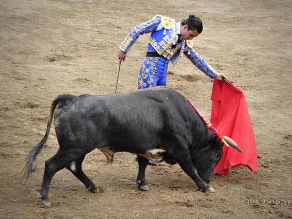 Lo mejor... por naturales