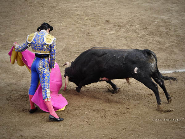 Carlos Rodr�guez, primer espada