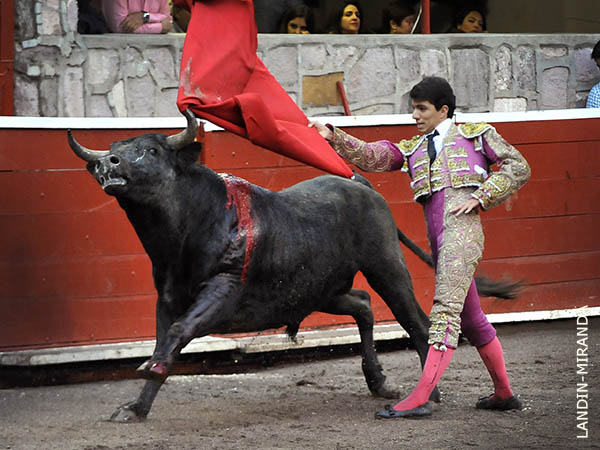 Cost� ense�arle a embestir