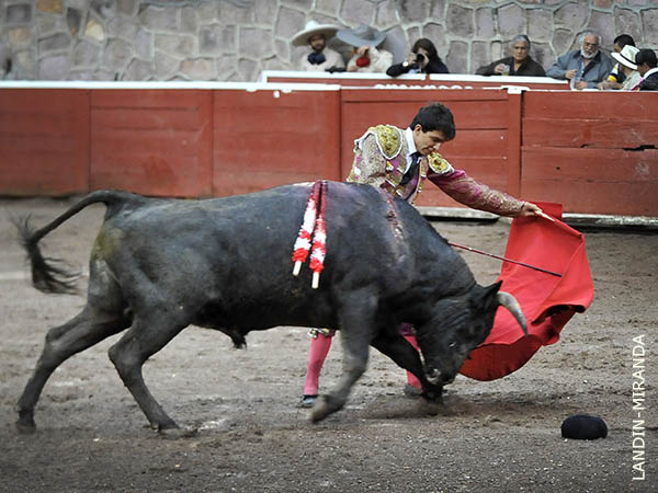 El novillo exigi� firmeza al leon�s