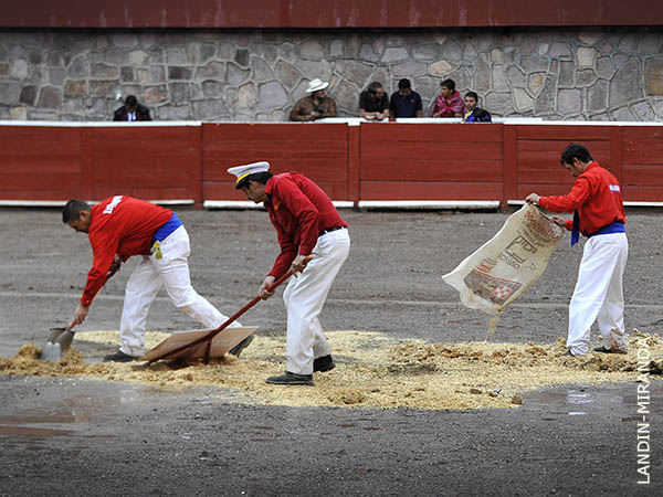 Eficientes en el servicio de plaza