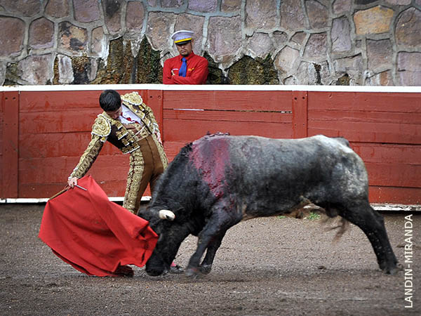 Muletazos robados uno a uno