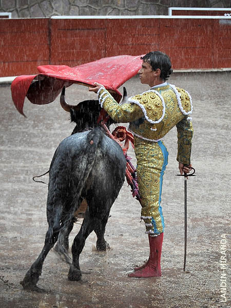 Hay torero
