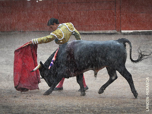 Sitio e inteligencia