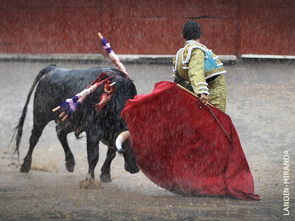 Enmedio del chuvazco