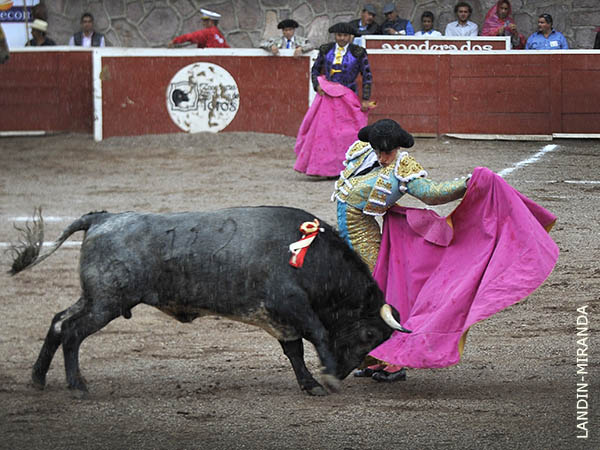 Pulcritud en el quite