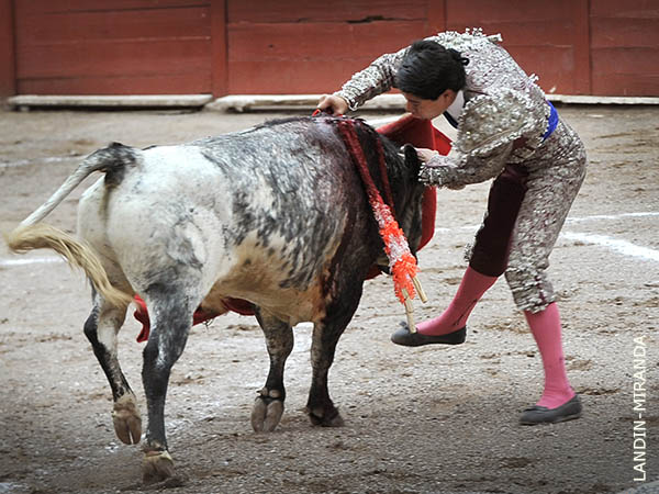 Estoconazo de Didier