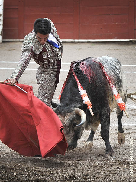 Muletazos de val�a