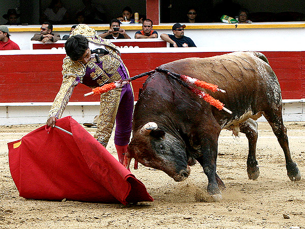 Extraordinario derechazo del Poeta
