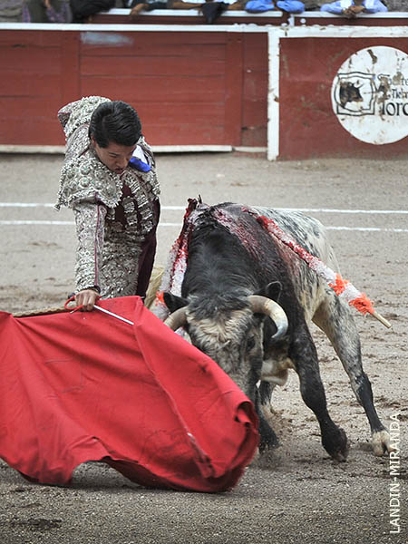 Calidad, y transmisi�n