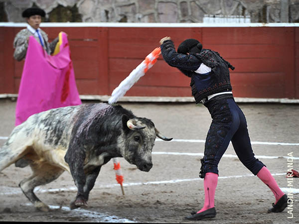 Aldo, adornando el morrillo