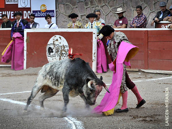 Ahi mismo la de vuelta