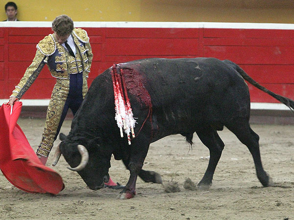 Extraordinario trazo