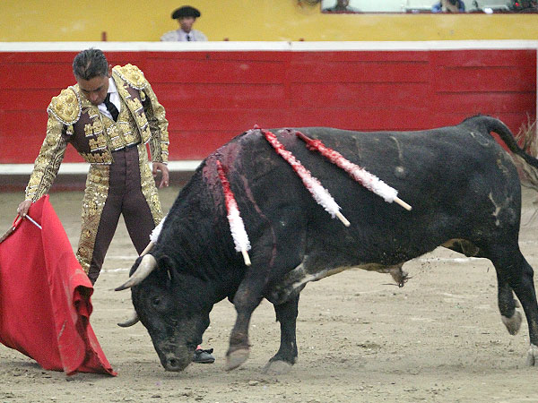 Un lujo ver a Zotoluco