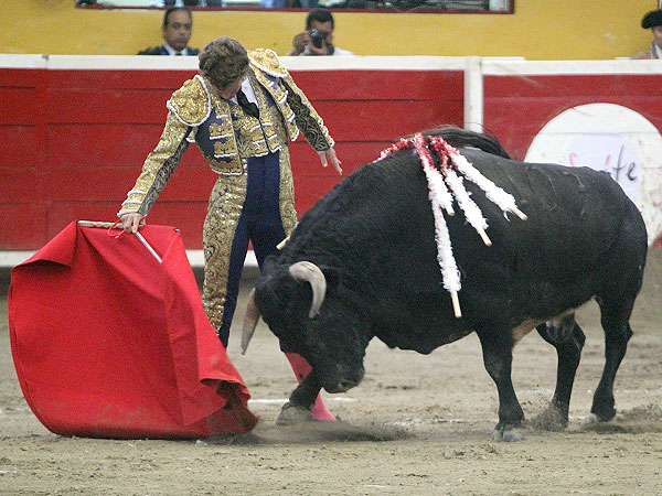 Un torero elegante