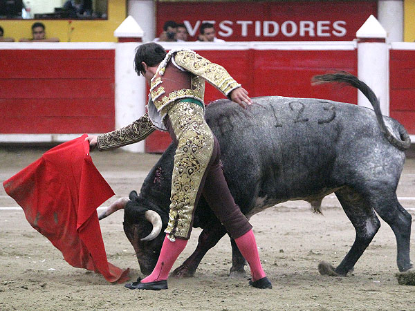 Siempre en la distancia