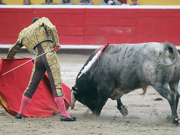 Calidad en la embestida