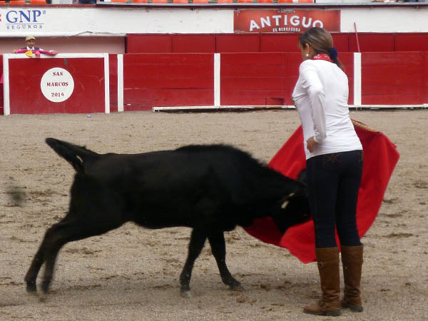 Derechazo de Lupita SIlva