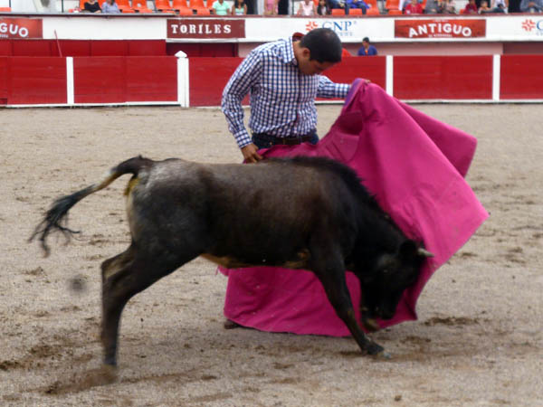 El sentimiento de Gerardo