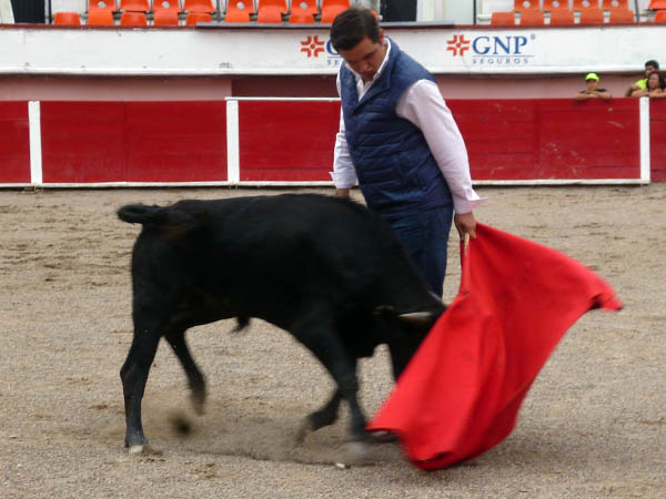 Adornos de Fernando P�rez