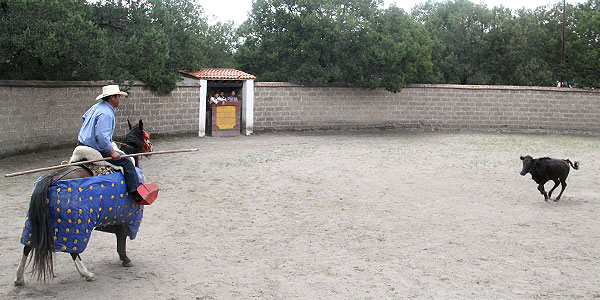 La bravura de la a�ojita