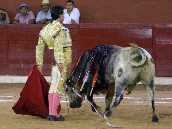 El mej�r ejemplar del festejo