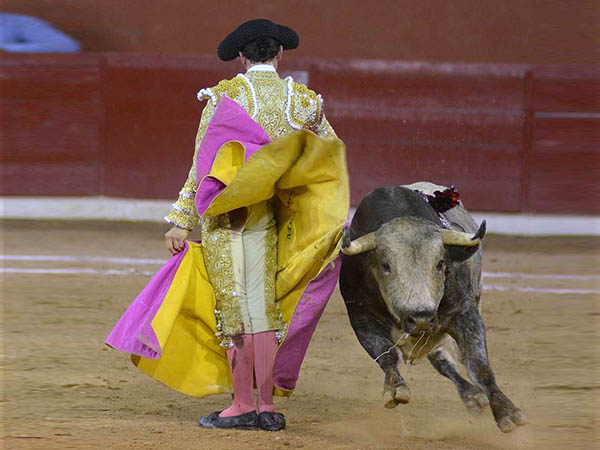 Volvi� a ense�ar sus cualidades