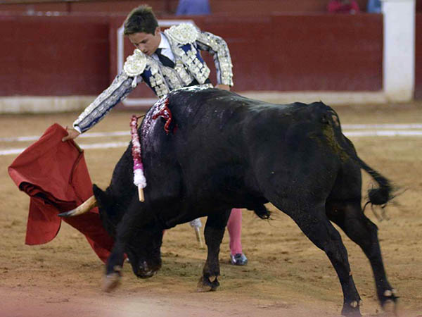 Series con calidad por ambos lados