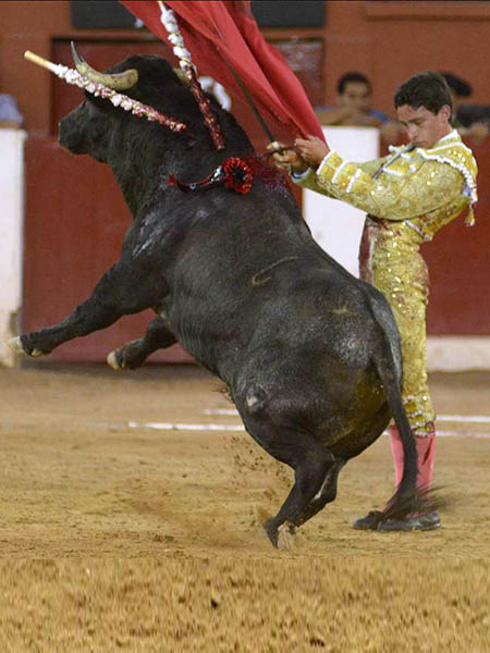 Conect� con facilidad