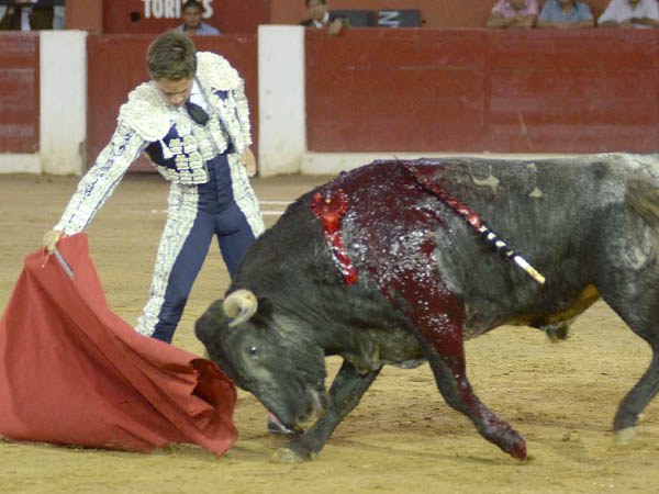 Hizo una faena inteligente