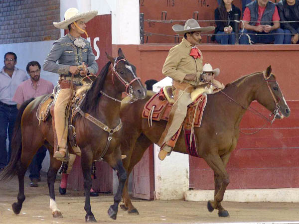 Alguacilillos potosinos